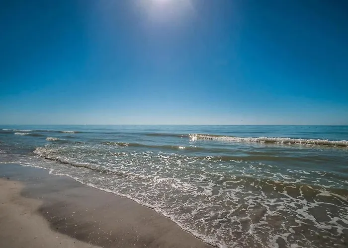 Seacove In Indian Shores Clearwater Beach